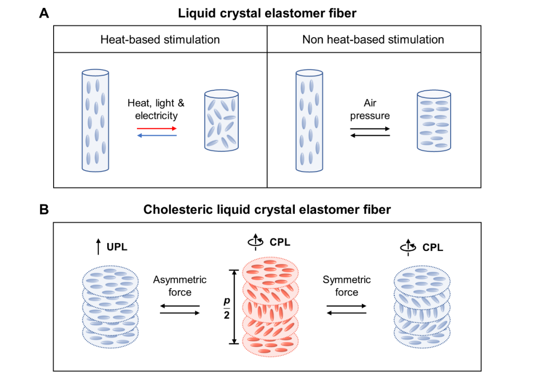 手搓的软体机器人来了！浙大研究成果登顶Science Advances，手工编织技术解锁新可能(图1)